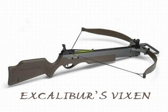 Excalibur's Vixen